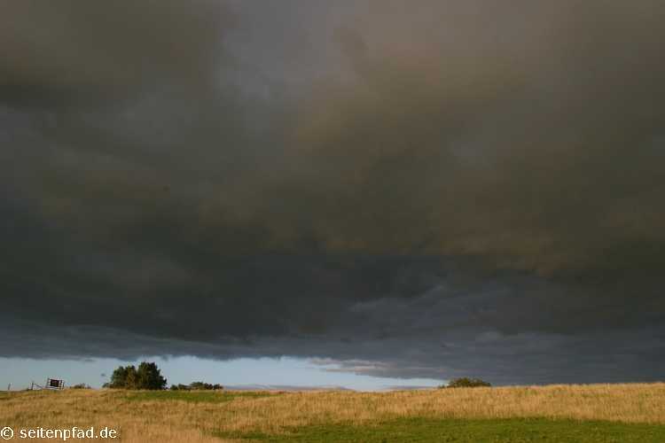 Abendlicht am Elbdeich bei Brokdorf