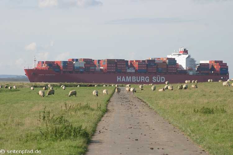 Containersschiff auf der Unterelbe bei Brokdorf