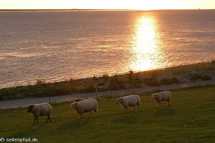 Deichaufgang am Abend