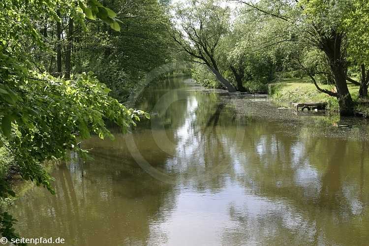 Elbtalaue bei Lenzen &copy seitenpfad.de