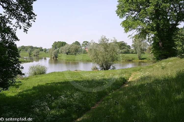 Elbtalaue bei Lenzen &copy seitenpfad.de