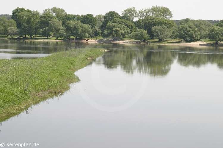 Elbtalaue bei Lenzen &copy seitenpfad.de