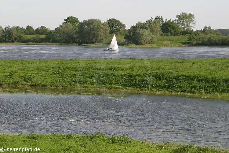 Elbtalaue bei Lenzen &copy seitenpfad.de