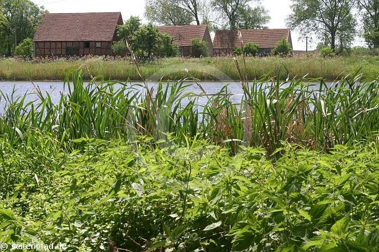 Elbtalaue bei Lenzen &copy seitenpfad.de