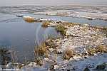 Friedrichskoog