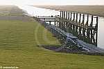 Friedrichskoog