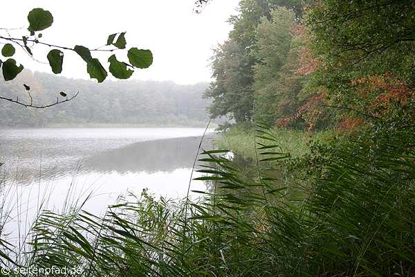 Neuenkirchener See