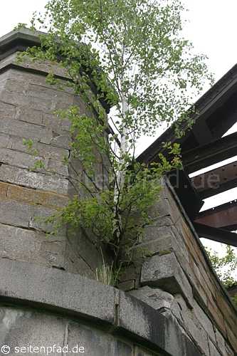 Eisenbahnbrücke bei Dömitz